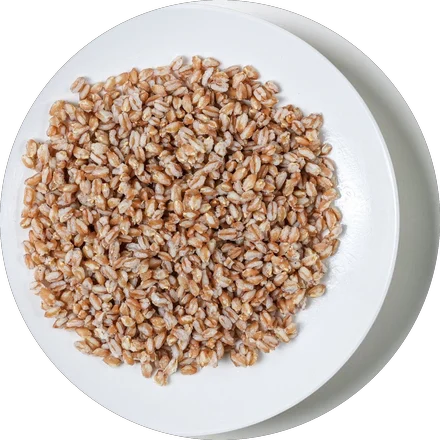 Farro