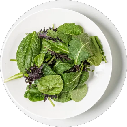 Spring Mix